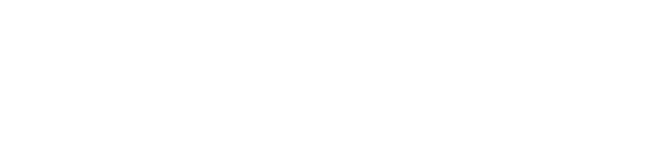 connect new site header logo